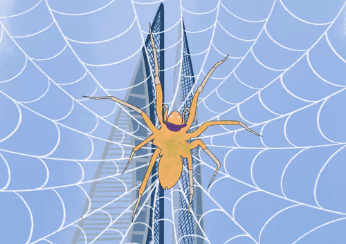 Item #41761898366612242953418851385830227921994591616722895703432075739355949301763 Media