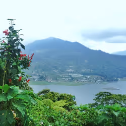 Nature of Bali #3