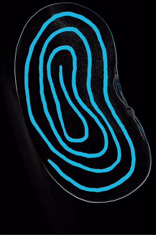 Item #28863644346887406121334048118409569741835316109588449396452983058256344645642 Media