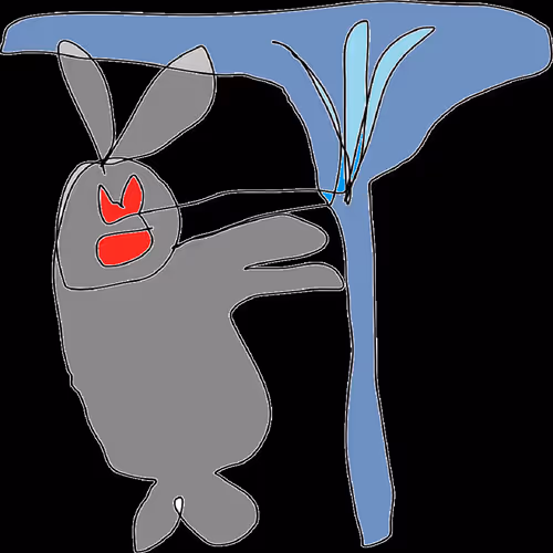 Item #8586680291183908512260850665685759803310915158451975954548644256122377601025 Media