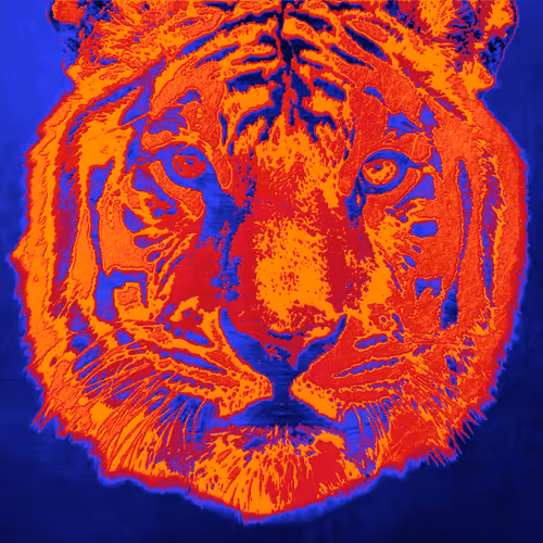 Item #86237857260230094109351666257840853512560942503418433082652455682288308453476 Media