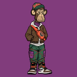 Sneakerhead Ape #11