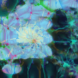 Fungi Fractal