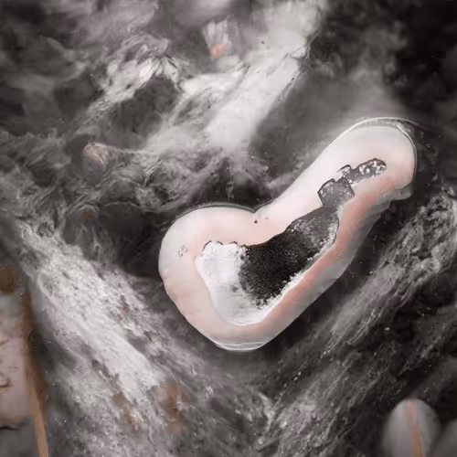 Item #110351372962123060231895666498212327182283223475443683574444124991742051090433 Media