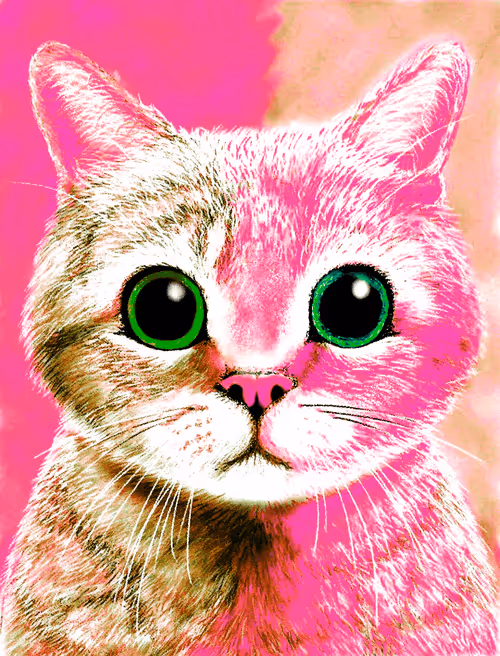 Item #56621992303262747893271366005093707345711101762340673219461019480568224546817 Media