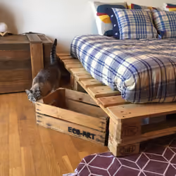 Pallet´s and cat´s 
