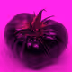 110692649264369377071495627220392981109400302920527361961030166706364044279809