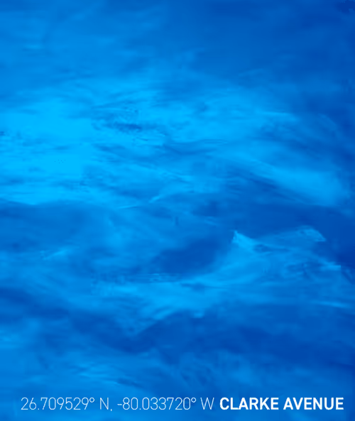 Item #26943238138681638753348092188697374887664825659826611314374211184219754856449 Media