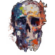 53167169703921506106622830789267975411527085058590108127926309414168315297793