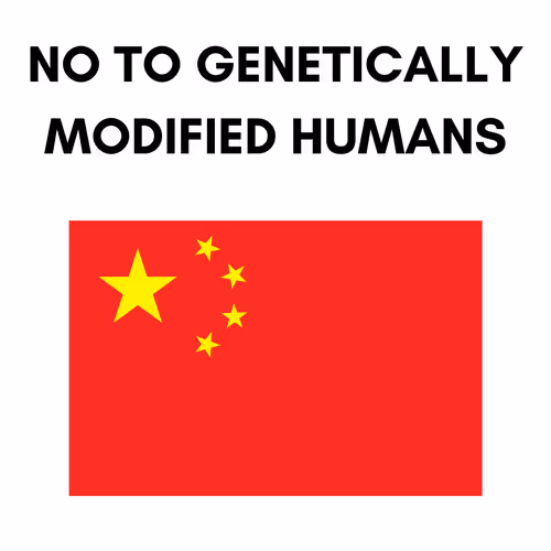 Item #54173359680529468672134531357852569174324667090824863999403187602259091390474 Media