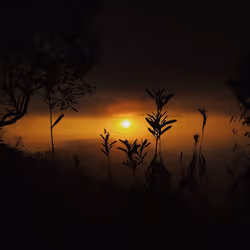 The Sunset