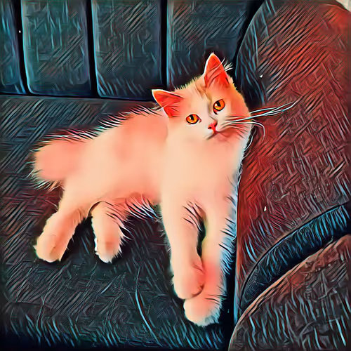 61159952190069003992251885146518628748678456735762255821304707797805256671233