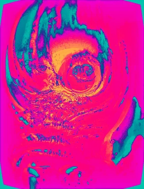 Item #53005209124234126952034718365391236339276044445194367771106162620193547747378 Media