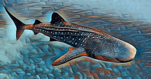 Item #5268166588450870648624449421433370993939742768172324454239271352624729817089 Media