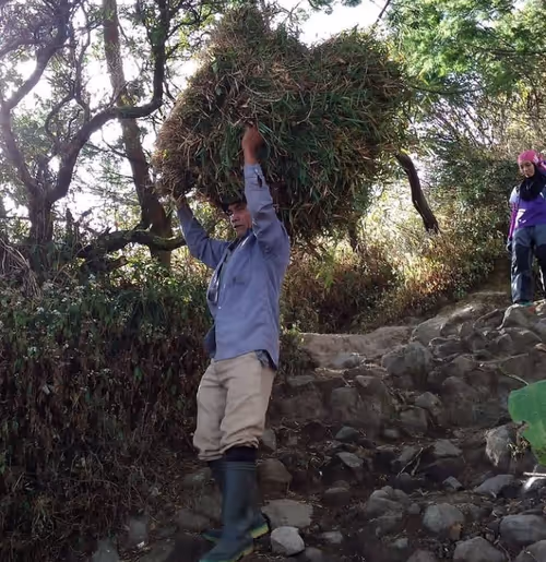 Item #92642561751964251639563994586889054946417483934720085292859810025286953598977 Media