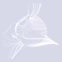 92894242093795326381736893620758818481744636716678827475131324247030122938369