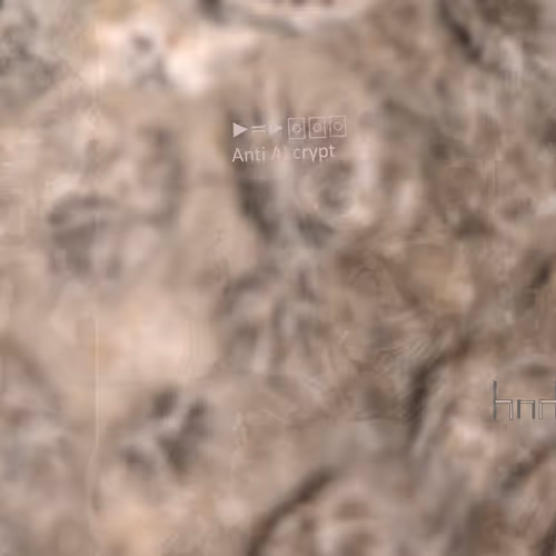 90084091504360459582427567219794888120154769383963465613828371955174130843649