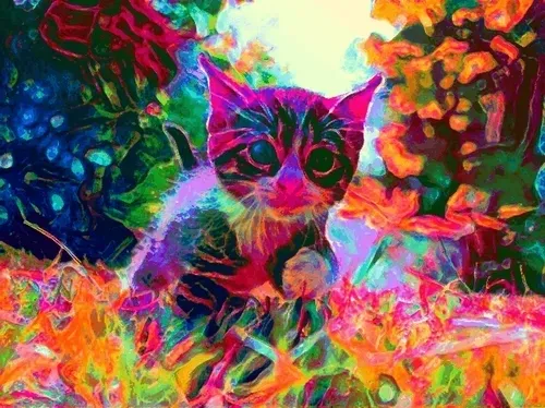 Trippy Kitty