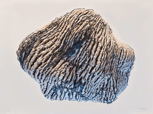 Item #27368314961787649064221585856198725372967139003119485785305163667903415844869 Media