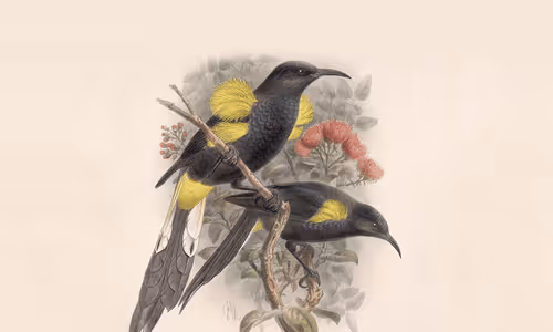 Untitled Collection #46758197