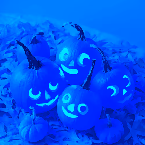 Item #15081463501546268006596121588316872326209313817998412847676536838951480066049 Media