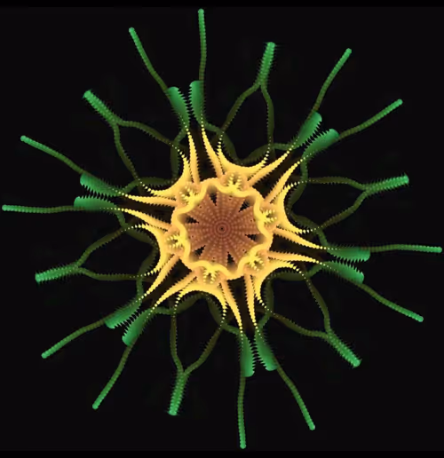 Item #90041731121625487391681815640804423209929442543617657032058540174915019997185 Media