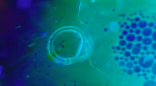 Item #115543855825004991069233676876391598030512634182688088675694673470190222573569 Media