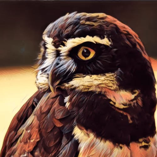 Item #26650945665272702073096293801758904101392911091666119673997563419868711092225 Media