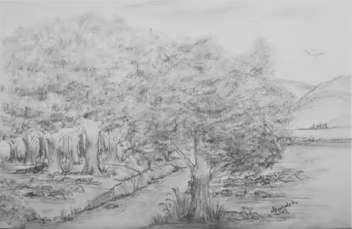 Item #55062131159944038160622016505172486972933508156011635560781714127442170347521 Media