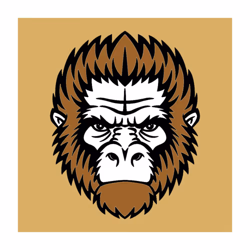 Item #100845055208083656102063606175509205911342403172182786086923762905920135233537 Media