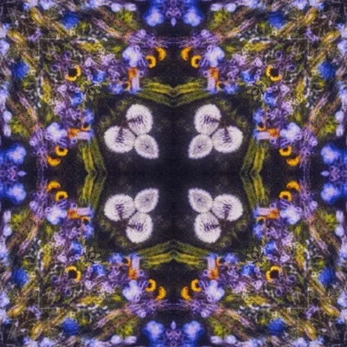 Item #33273431064062745158281459223994481396408298461003960329838769668942276329477 Media