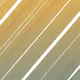 110000638955916500084629435034673367748580216101145741458976906501861375213569