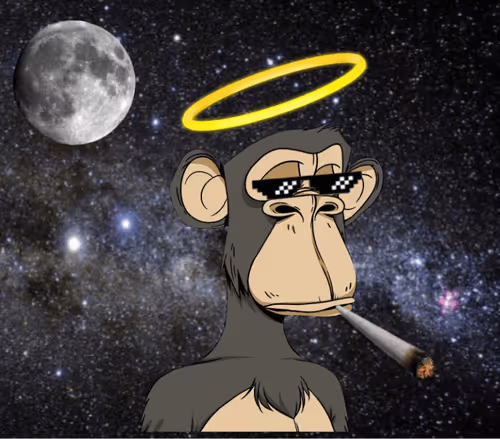 Untitled Collection #208144356