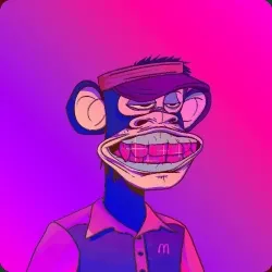 56217793699816248986222488004108541426472923207840297687166606968902459064352