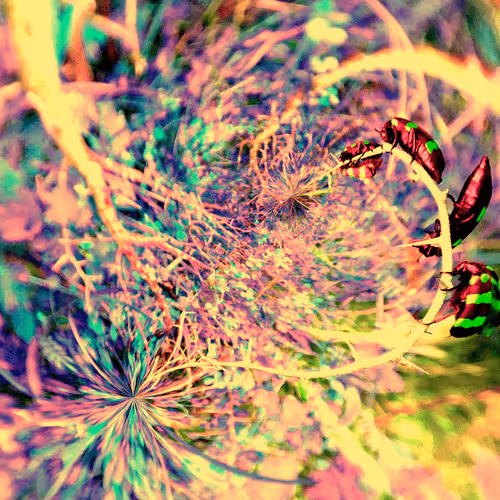 Item #114541342089428227469681956064543106108428369505714316278089359561429235007489 Media