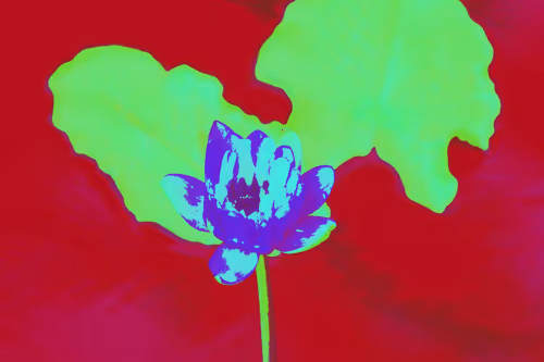 Item #24515379016287833430110687259411372809394655166763807580583558301595843166258 Media