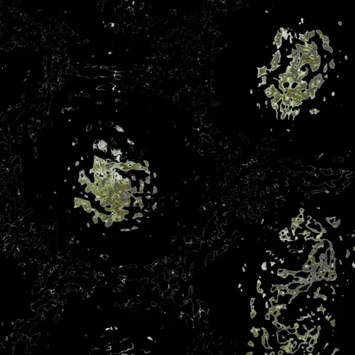 Item #27486400902495985240294042852775117457432274727710217616977196844973232750596 Media