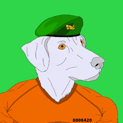 48668930932293412989161743222089303844917080973398542581303764689144969691137