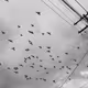 64425700255922365010034317114976775972986592258044091962610357531047651966977