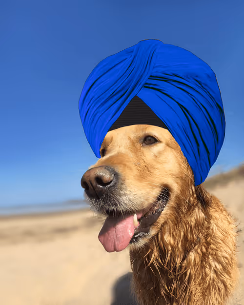 Item #26839399415497039076862880694069072006331525189107682525417321775288993972225 Media