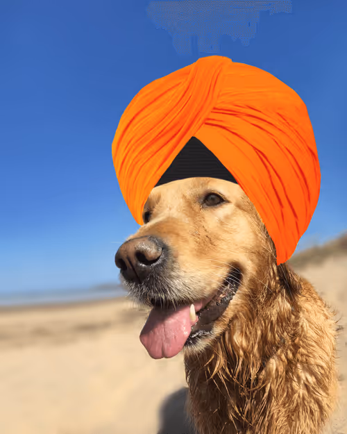 Item #26839399415497039076862880694069072006331525189107682525417321773089970716673 Media