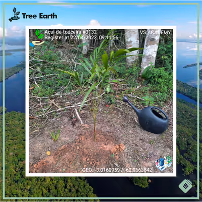 Item #8500196597889277390194123329501889087166328879864934763448349311899476688897 Media