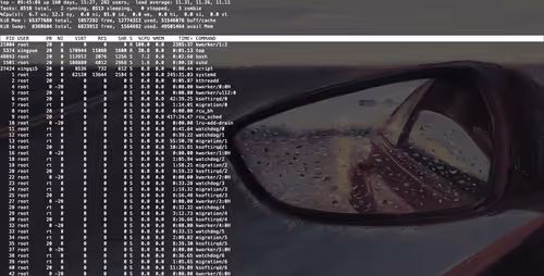 Item #30078259349653292062784062335673521730515750186478709300963580464941091520562 Media