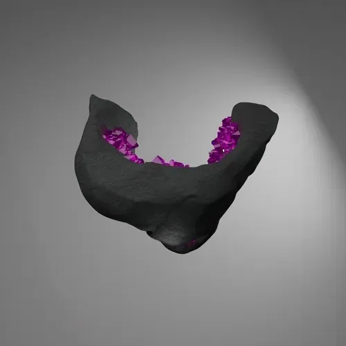 Item #56349564745927449899691457047131886812251613059431246852115281429075649888257 Media