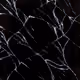 32161206977658782424463445813647691958430847095561405360784119274207212208129