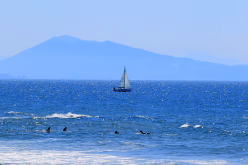 Item #61601413983432262200822046408210296549184035160504594584973518339170082226186 Media