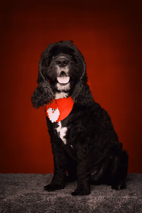 Item #8036610274517614856282005705215780499318604713549687172679363482981786189827 Media