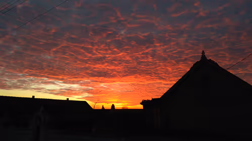 Item #17319939953167637780600282992121422872105245519410634407643257880657981865985 Media