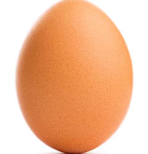 20535972500455817003078315380808584442992238646014192651254940486631891664897