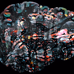 29877578668728852178902598419785793077778618348046200683544678288761269780481